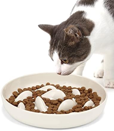 You are currently viewing PETTOM Slow Feeder Cat Bowl Anti Vomiting, 2023 Upgrade- Raised Rim Spill Proof Slow Food Cat Bowl for Wet Food/Dry Food, Cat Puzzle Feeder, Anti-Gulping Healthy Eating Diet Pet bowls (Round)