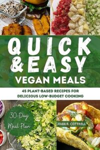 Read more about the article Quick and Easy Vegan Meals: 45 Plant-Based Recipes for Delicious Low-Budget Cooking